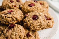 Chewy Cranberry Oat Delights