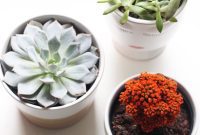 Master Your Health, Master Your Life