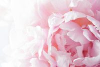 Reclaiming Your Health: Bouncing Back from Setbacks