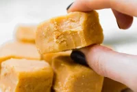 Decadent AIP Vegan Paleo Pumpkin Fudge