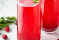 Vibrant Paleo AIP Cranberry Fizz Your Gut Will Love
