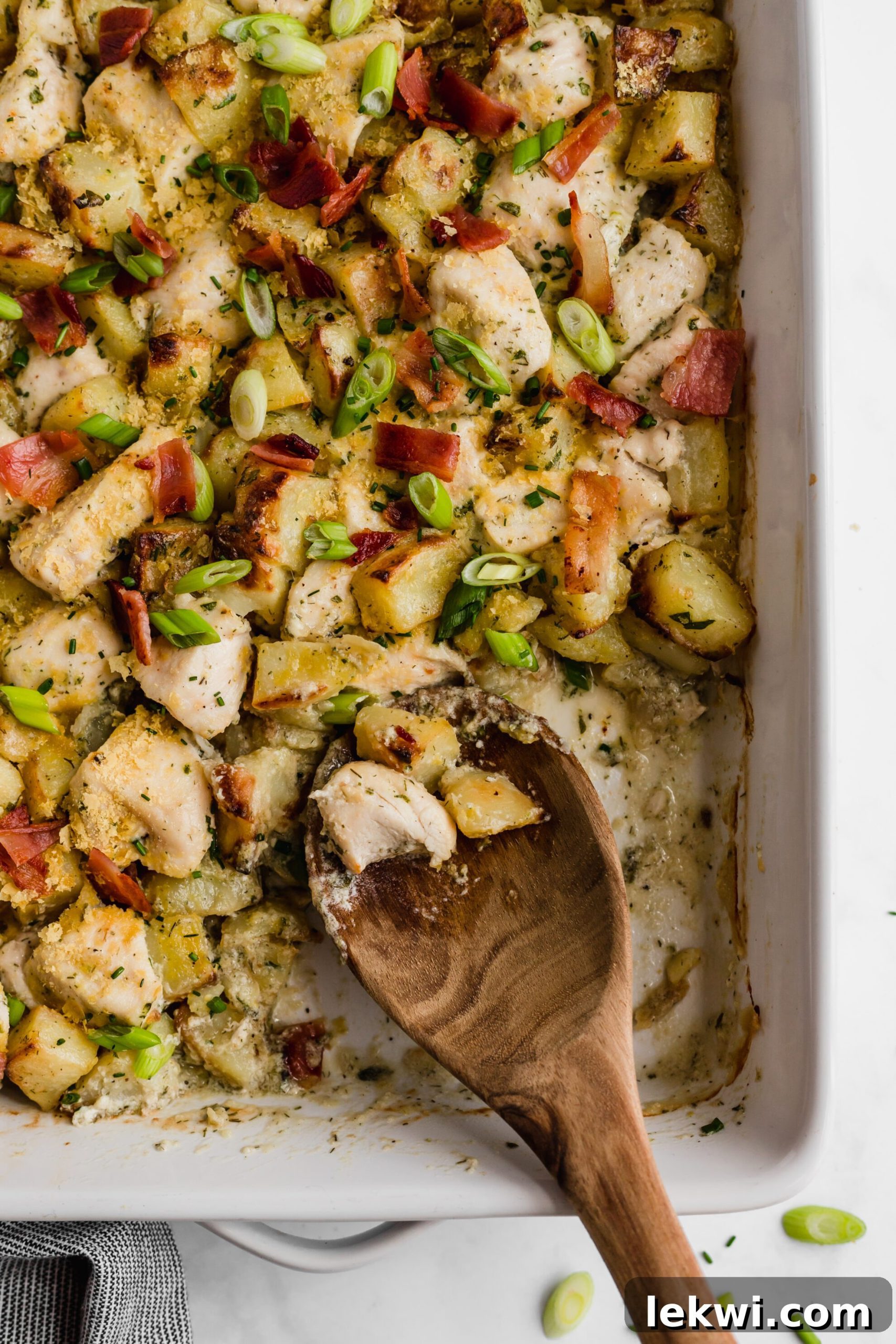 featured 9239 scaled