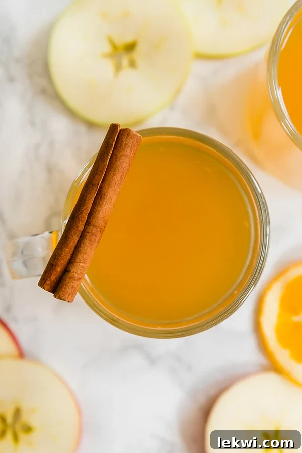 A glass filled with apple cider with a cinnamons stick resting on the side of it, evoking a warm, inviting fall scene.