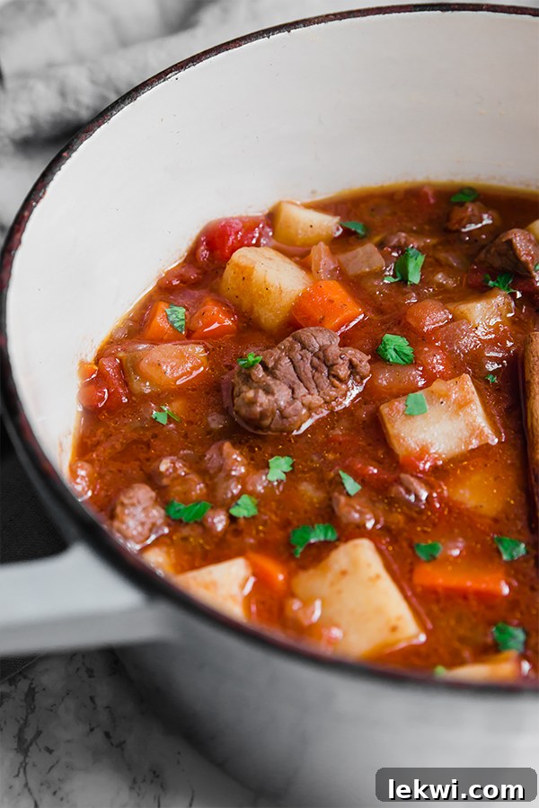 A Dutch oven filled with Greek Inspired Tomato Beef Stew.