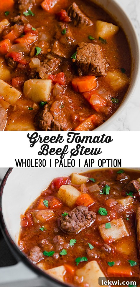 Greek Tomato Beef Stew