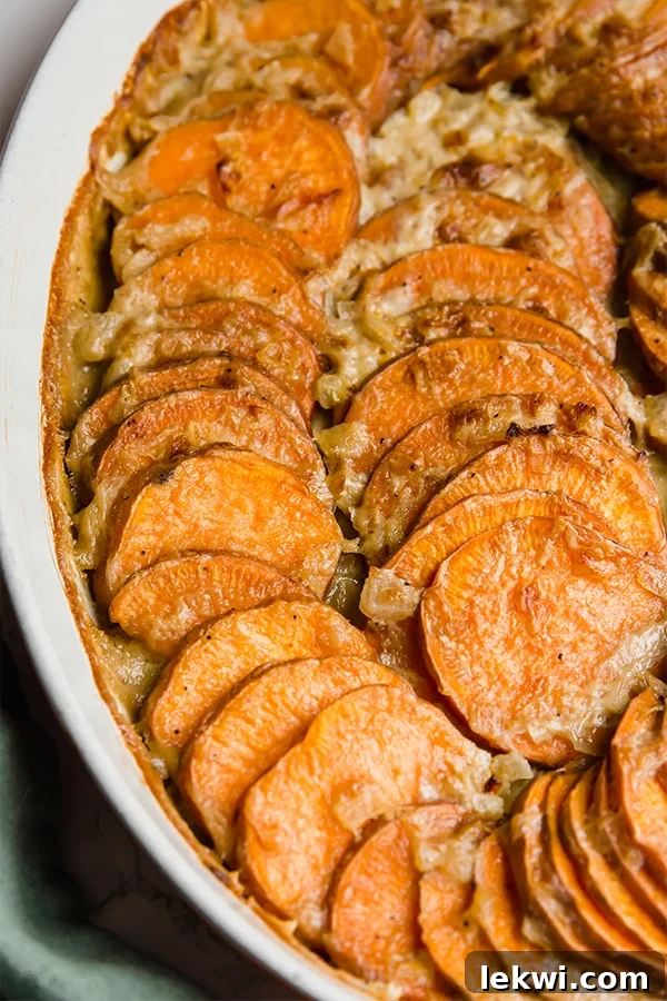 Close-up of baked sweet potato gratin, showing the creamy layers and golden top.