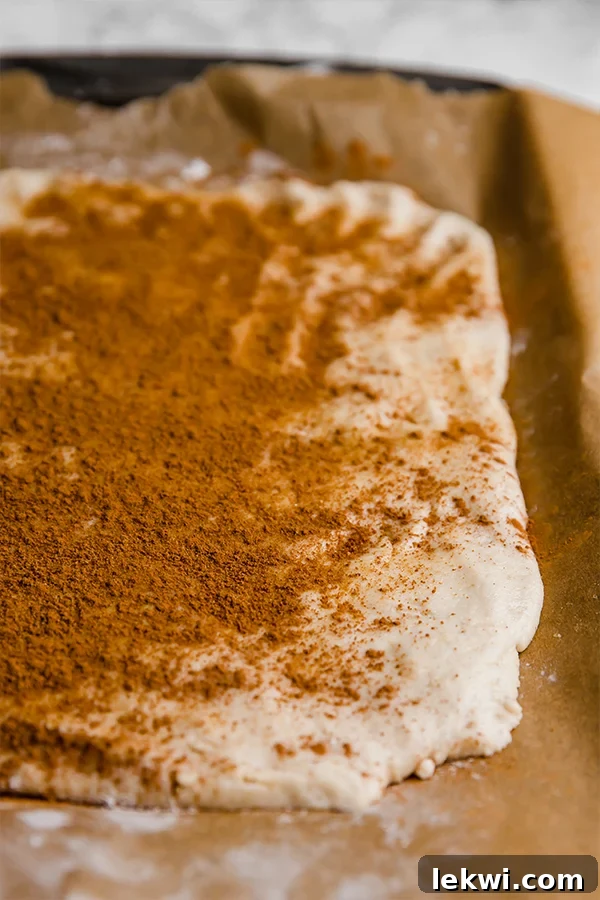 Cinnamon rolls with cinnamon sugar