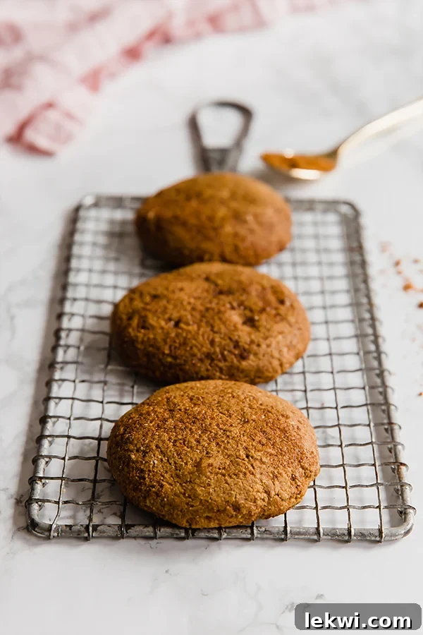 A trio of freshly baked gingersnap cookies cooling on a wire rack, ready to be devoured.