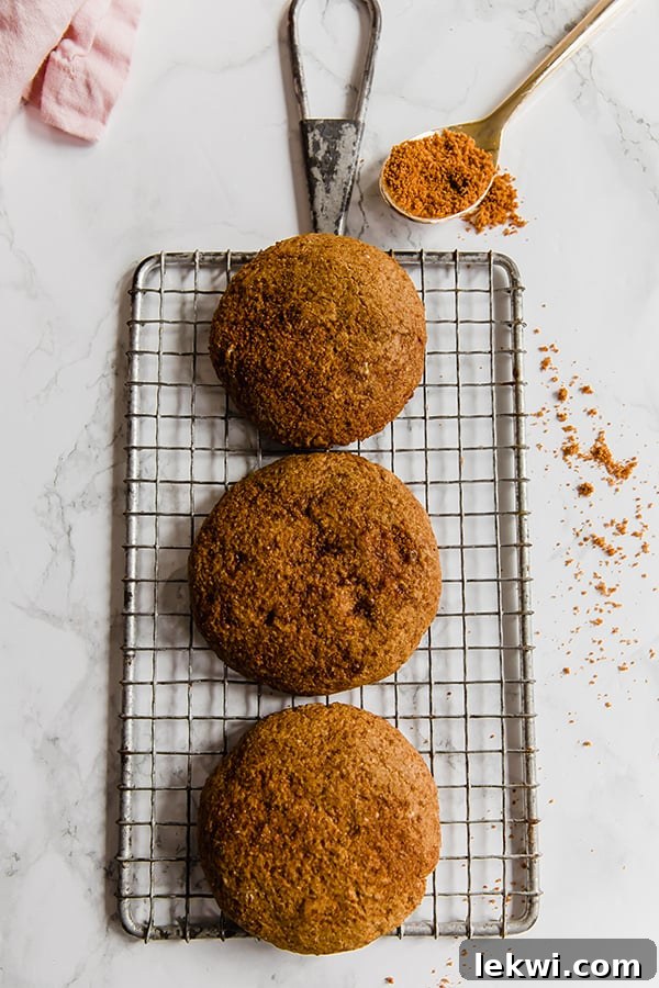 A charming close-up of three gingersnap cookies cooling on a wire rack, evoking a sense of cozy indulgence.