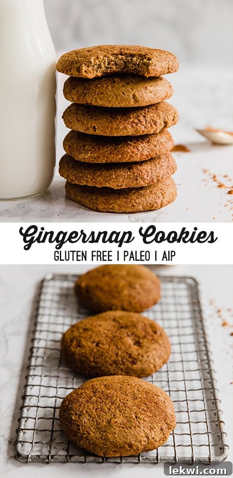 A wire rack topped with three gingersnap cookies ready to be enjoyed, overlaid with text reading "gingersnap cookies gluten free paleo aip"