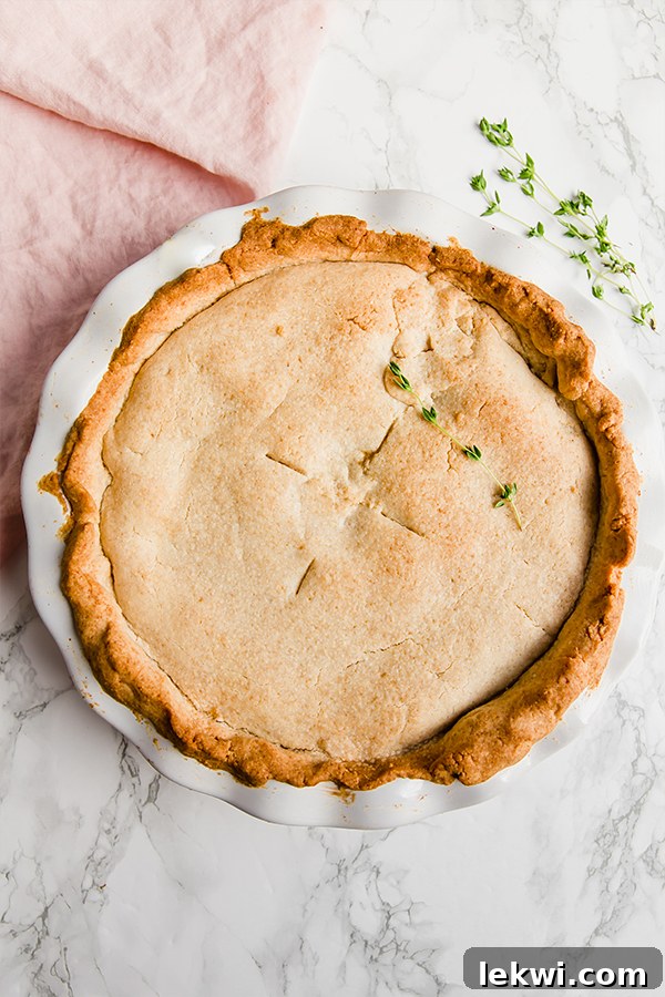 A freshly baked Paleo and AIP chicken pot pie nestled in a white pie pan, showcasing its golden, flaky crust.