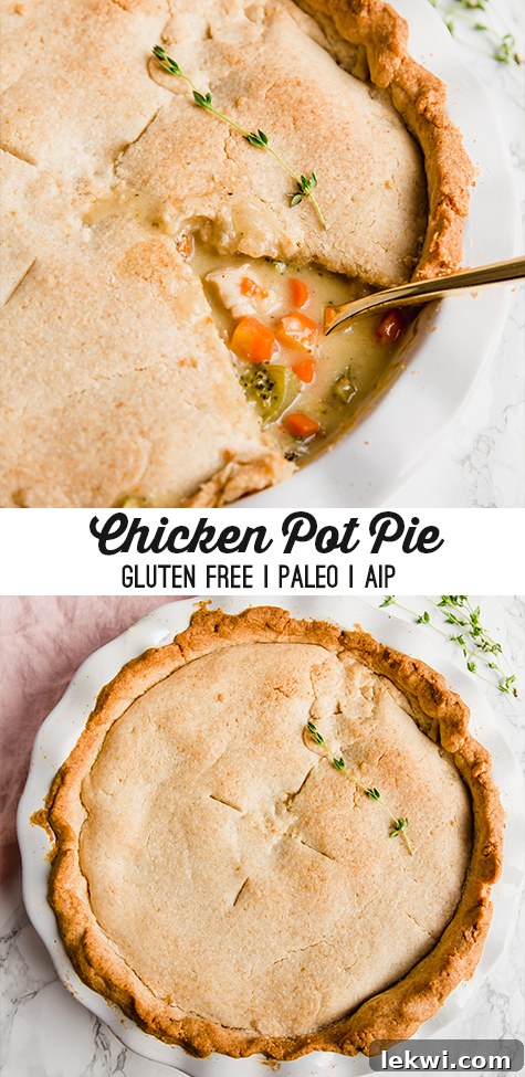 A beautifully presented Paleo and AIP chicken pot pie, ready to be enjoyed, with a focus on the rich filling and golden crust.