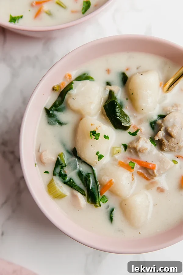 A vibrant pink bowl brimming with creamy gnocchi chicken soup, featuring tender chicken, soft gnocchi, and fresh spinach, with a spoon resting in it, ready to be enjoyed.