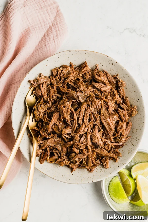 A serving of shredded beef in a bowl, ready for a versatile meal.