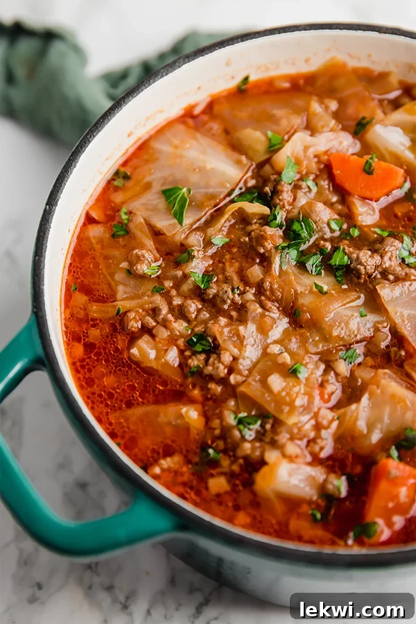 A large Dutch oven filled with rich, savory cabbage roll soup, garnished with fresh parsley, ready to be served. The deep red color of the broth and visible chunks of tender cabbage and ground beef create an appetizing scene.