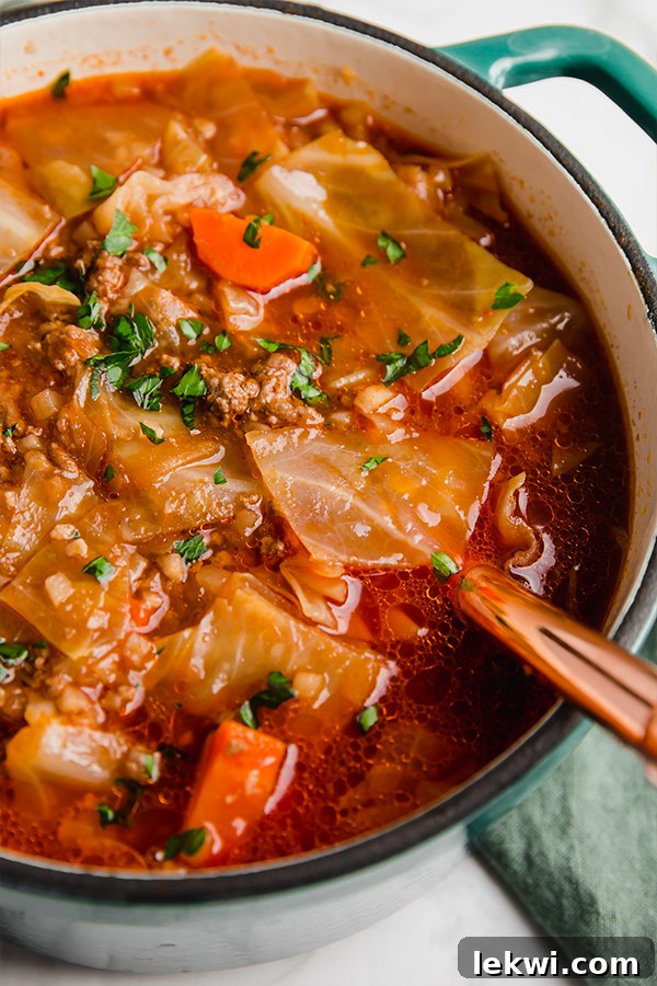 A vibrant bowl of Cabbage Roll Soup, garnished with fresh herbs, showcasing the rich texture of the beef, tender cabbage, and carrots in a delicious broth, ideal for a wholesome meal.