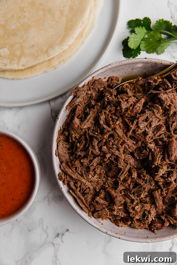 Beef Enchilada Ingredients laid out on a white surface, including shredded beef, tortillas, avocado, and spices.