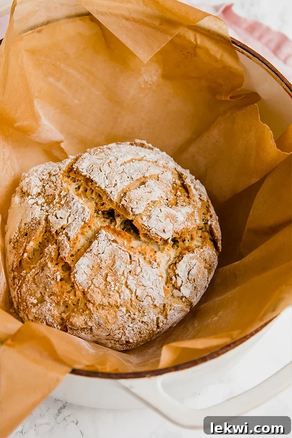 A Dutch oven with parchment paper surrounding a loaf of no knead gluten free bread.