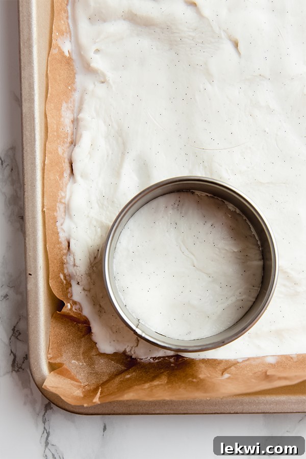 Ice cream with biscuit cutter