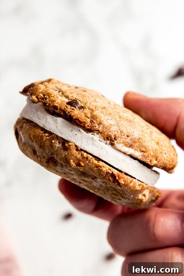 A hand holding a cookie ice cream sandwich.
