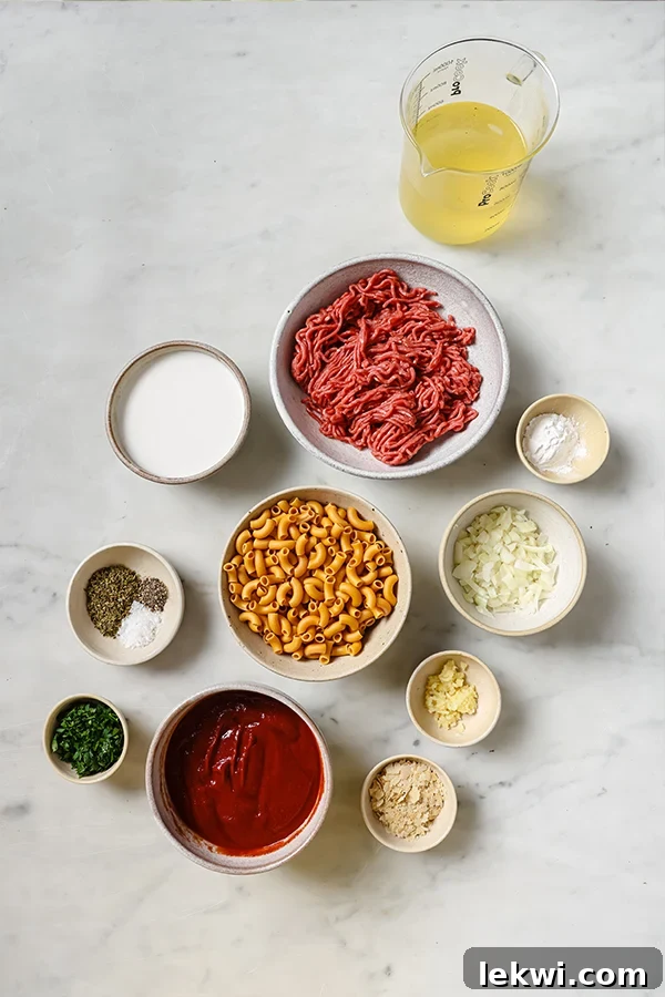 Ingredients including coconut milk, tomato sauce, and ground beef, laid out on a table.