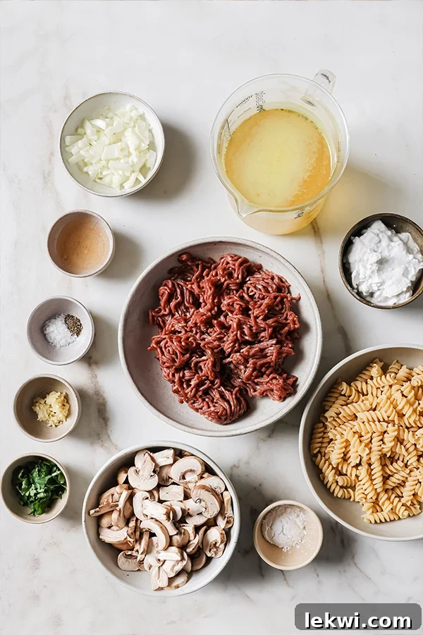 All the fresh ingredients for homemade beef stroganoff hamburger helper laid out on a kitchen counter before cooking.