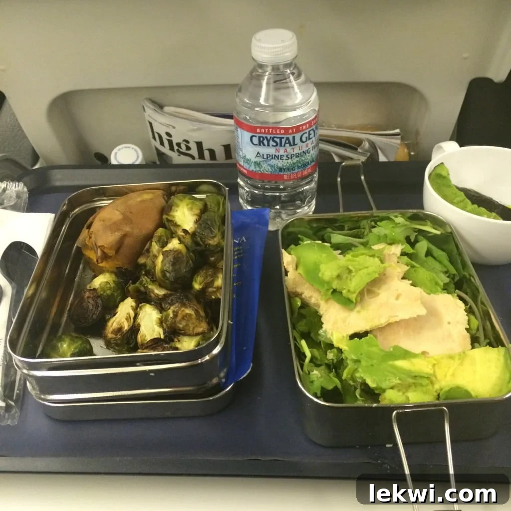 A packed AIP meal in a stainless steel container on an airplane tray table