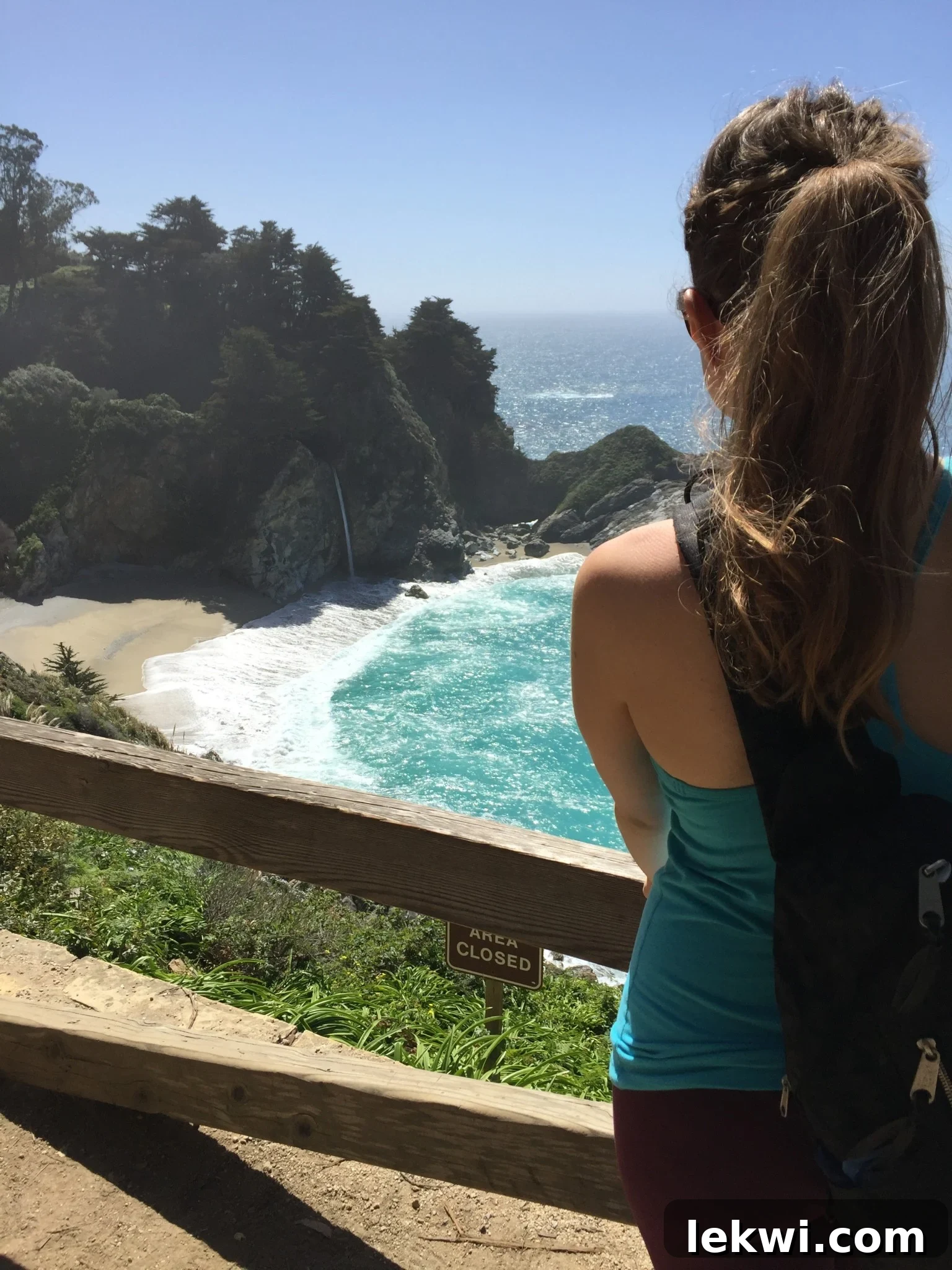 A closer view of the rugged coastline and clear blue waters at Julia Pfeiffer Burns State Park, highlighting its natural grandeur.