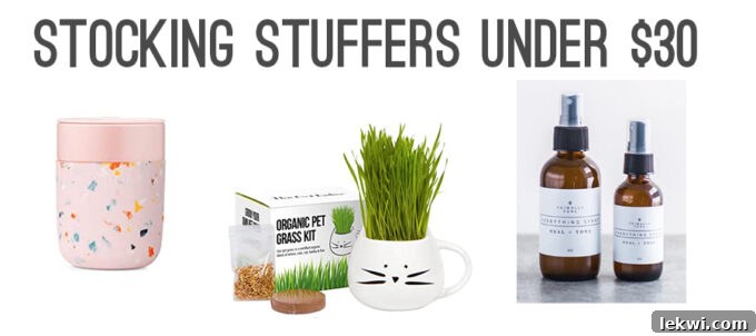 A charming collection of stocking stuffers under $30, including a personalized necklace, scrunchies, and a travel mug.