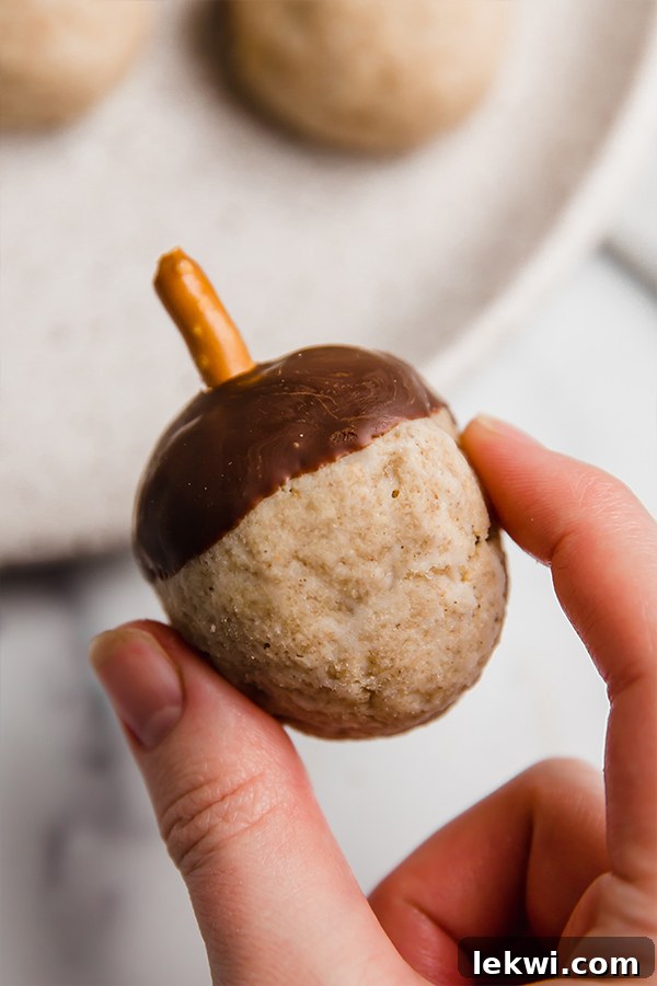 A single beautifully crafted acorn donut hole, perfect for a close-up view of its detailed design.