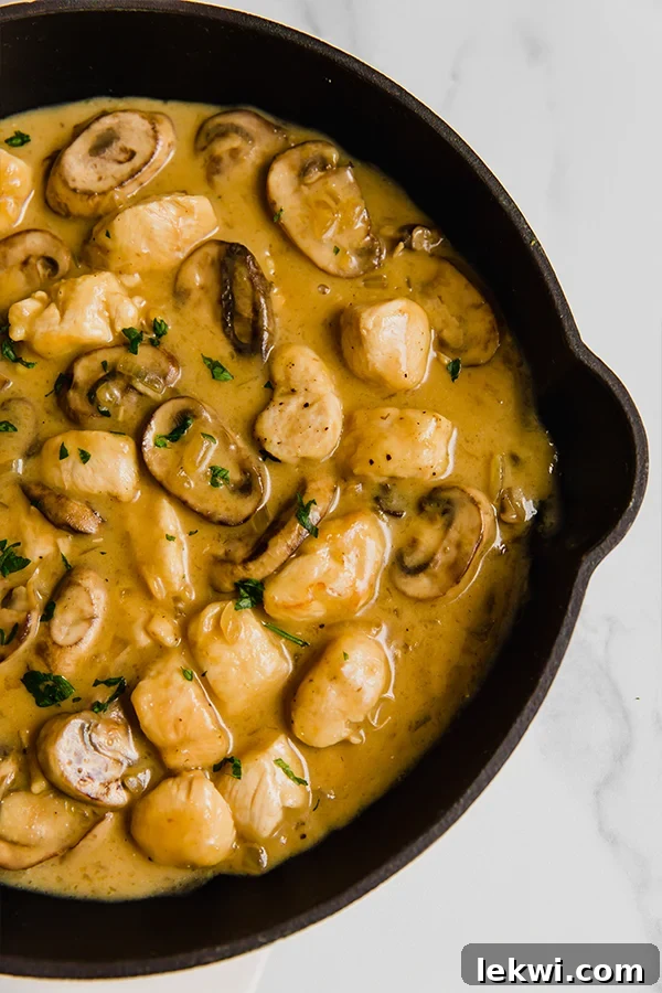 Chicken strogranoff with mushrooms and sauce in a black pan, garnished with fresh parsley.