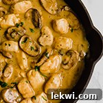 Small thumbnail of Chicken stroganoff with mushrooms and sauce in a black pan.
