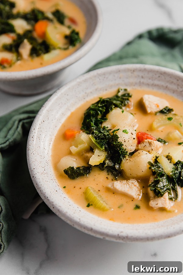 Two bowls of Tuscan chicken soup, garnished with fresh herbs, ready to be enjoyed.