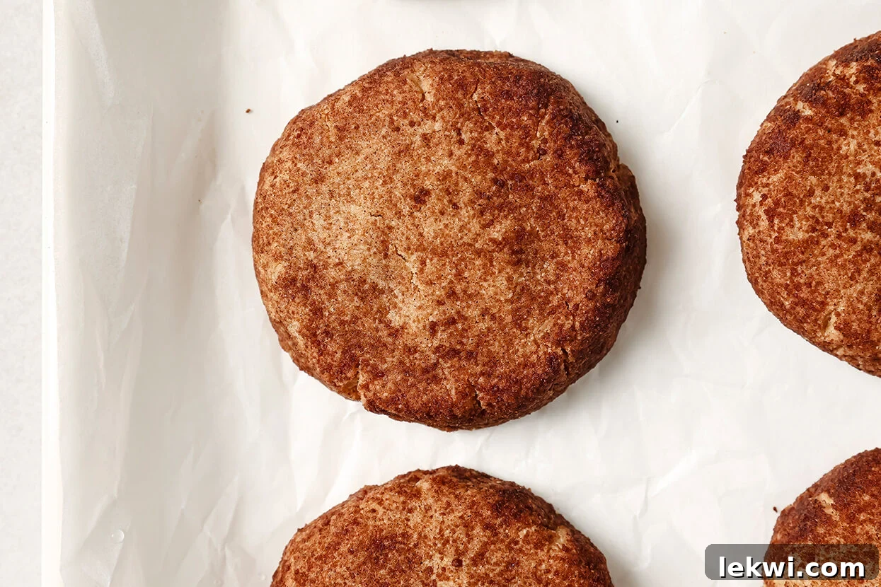 Freshly baked snickerdoodle cookies, slightly puffed and crackled, cooling on a baking sheet.