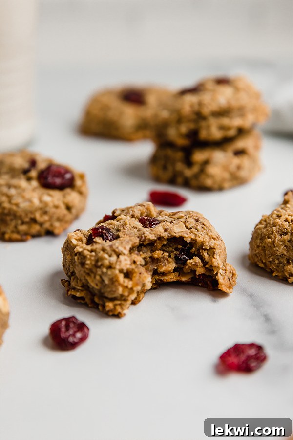 oatmeal cranberry cookies with bite taken out