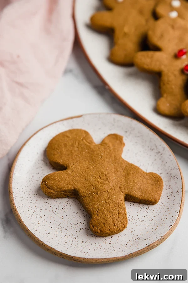 A single AIP gingerbread cookie, perfectly baked and undecorated, resting on a small, elegant round plate, ready for its festive adornment.