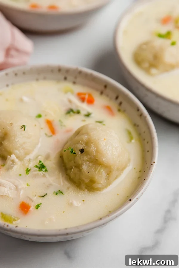 A top-down view of a hearty bowl of Chicken and Dumpling soup, showcasing the rich broth, tender chicken, and soft dumplings.