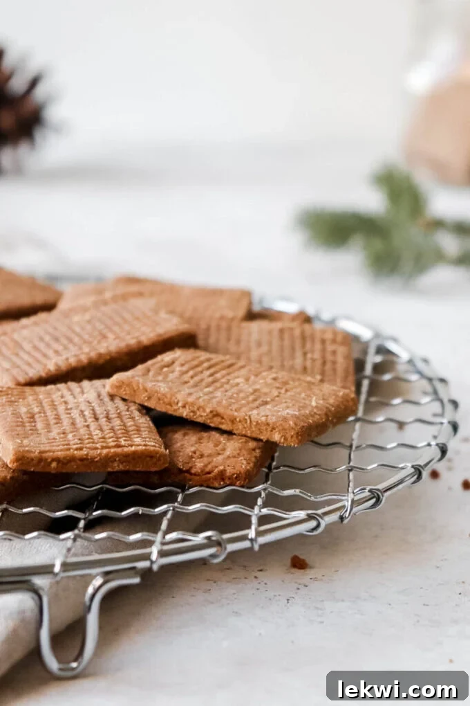 Freshly baked homemade AIP Speculaas cookies cooling on a wire rack, ready to be transformed into delicious cookie butter.