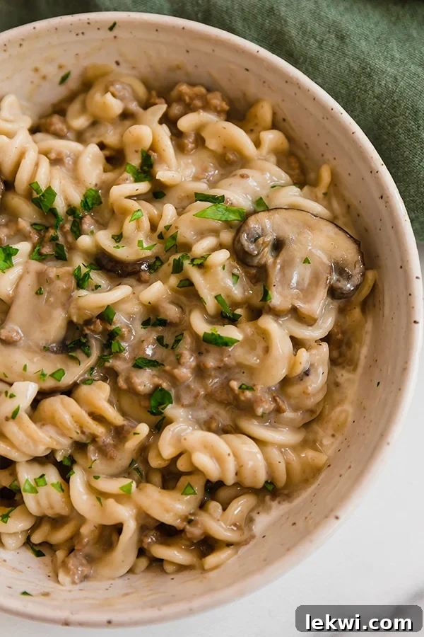 A warm, inviting bowl of Beef Stroganoff Hamburger Helper, featuring tender beef and pasta-like shapes in a rich, creamy sauce, garnished with fresh herbs.