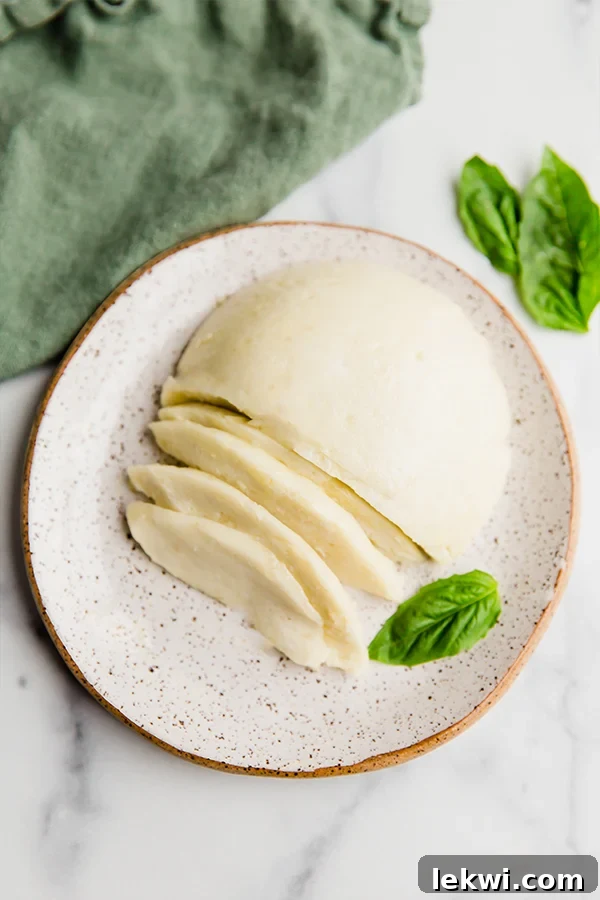 AIP Mozzarella cheese block on plate, half sliced
