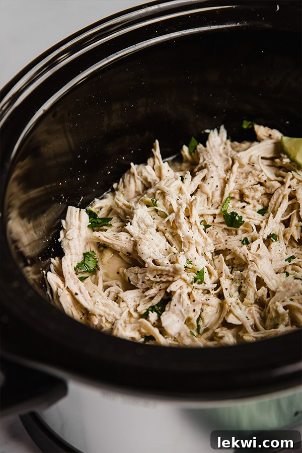 Shredded cilantro lime chicken simmering in a slow cooker, ready for taco assembly.