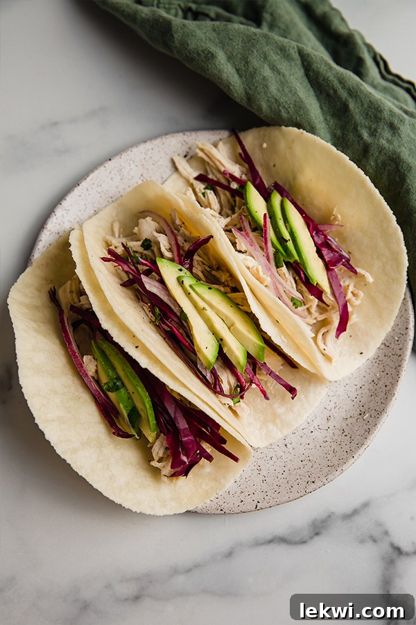 Vibrant cilantro lime chicken tacos garnished with fresh cilantro, red cabbage, and avocado slices.