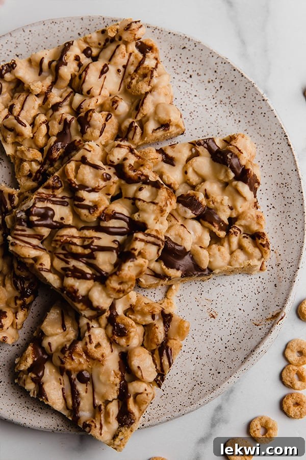 Cereal bars drizzled with chocolate on a plate, highlighting their delicious appearance.
