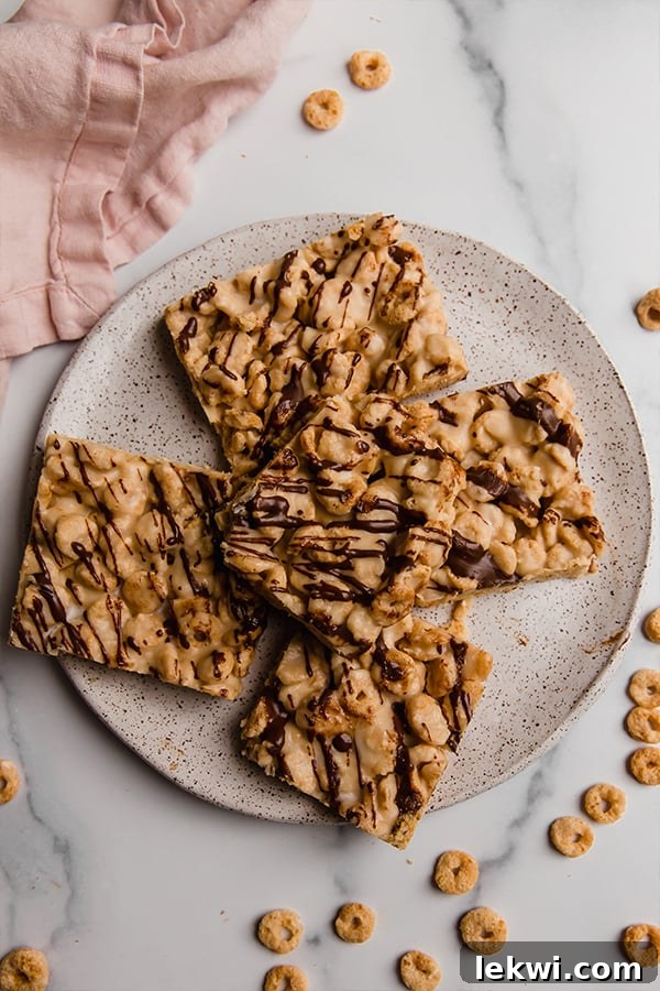 Close-up of finished cereal bars with chocolate drizzle arranged artfully on a plate.