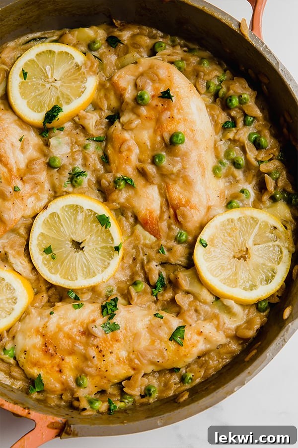 Creamy one-pan lemon chicken with orzo, garnished with fresh lemon slices and parsley.