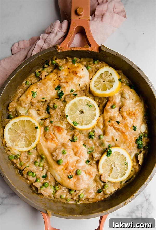 One-pan lemon chicken with orzo cooking in a large skillet, showing chicken, orzo, and vegetables.