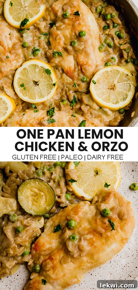 Collage with text "One Pan Lemon Chicken & Orzo Gluten Free | Paleo | Dairy Free."