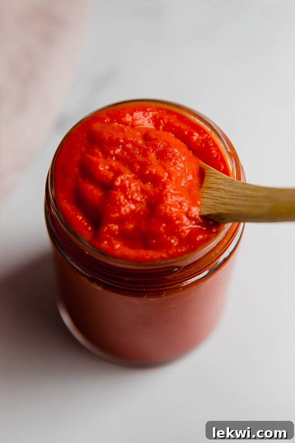 Spoon in a jar of vibrant tomato-free AIP ketchup, showcasing its smooth texture and rich color.