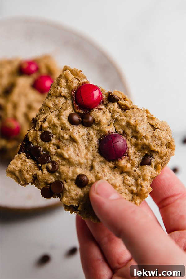 Hand holding a single Monster Cookie Oatmeal Breakfast Bar square, showing the delightful texture and mix-ins up close.