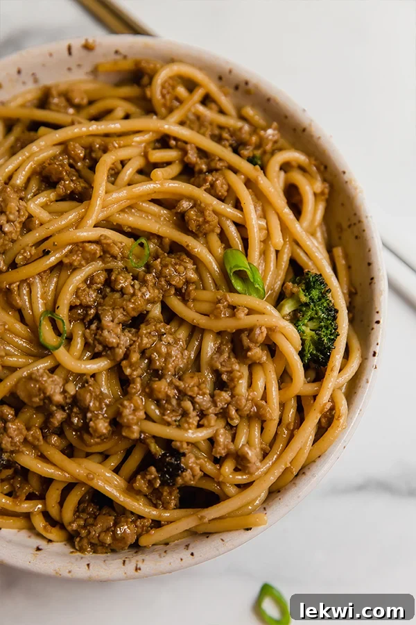 A steaming bowl of Mongolian ground beef with noodles, garnished with fresh green onions, inviting you to dig in.